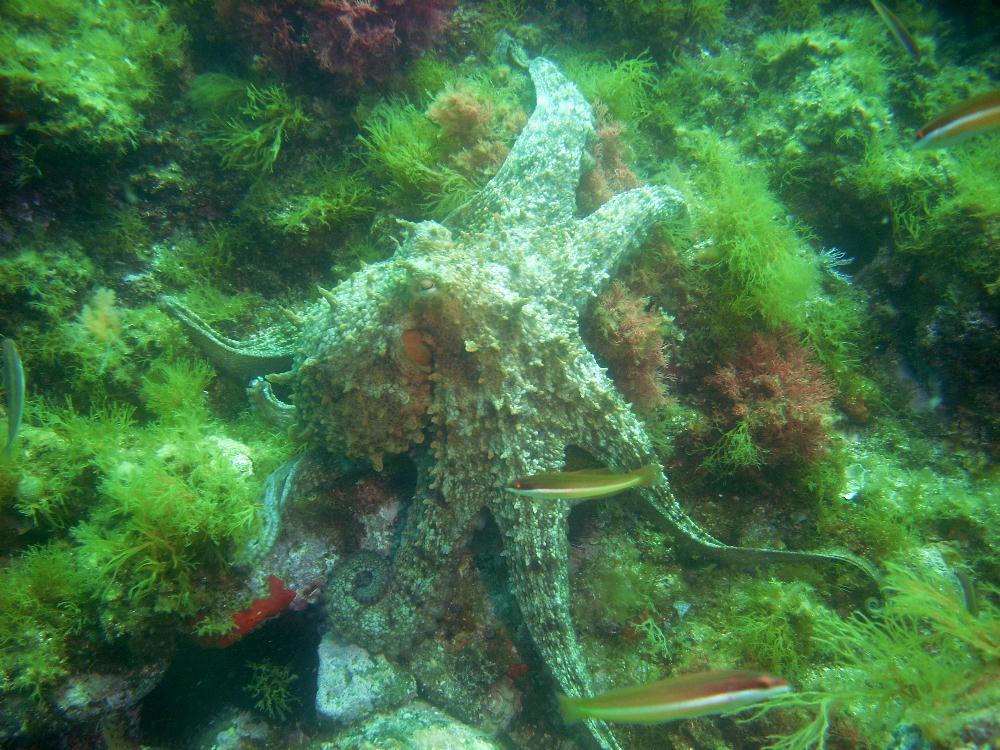 WE_Final_La_Ciotat_2011_61